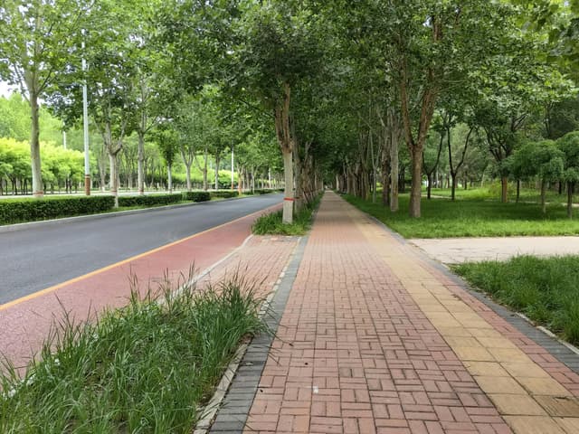 Side Walks